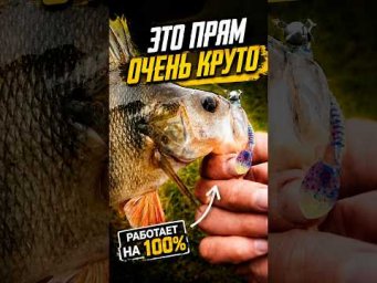 Проводка на окуня всегда должна быть с анимацией, иначе есть шанс остаться без поклевок!