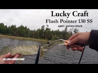 Щука на Flash Pointer 130 SS от Lucky Craft.