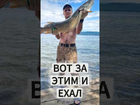Помните свой ПЕРВЫЙ трофей? Помните свой ПЕРВЫЙ трофей?