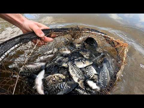 Очередное Зарыбление водоема 3-й Алчедат Красновым В.Ф 25.05.2026г. Очередное Зарыбление водоема 3-й Алчедат Красновым В.Ф 25.05.2026г.