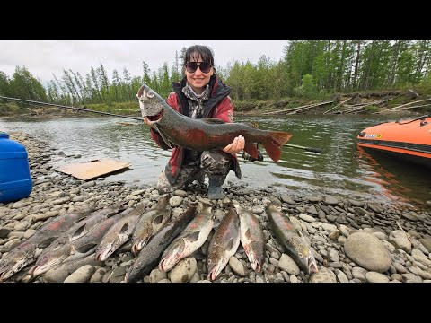 ОГРОМНЫЕ ЛЕНКИ ИЗ ОДНОЙ ЯМЫ.