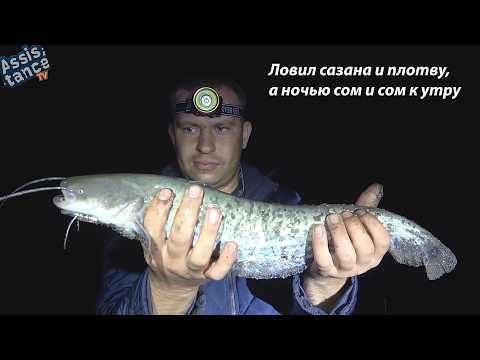 Ловил сазана и плотву, а ночью сом и сом к утру. Ловил сазана и плотву, а ночью сом и сом к утру.