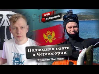 Подводная охота в Черногории