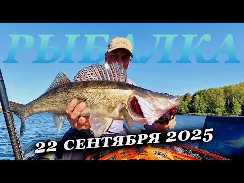 Толпы сытых СУДАКОВ! Кидай кидай, их тут много)))
