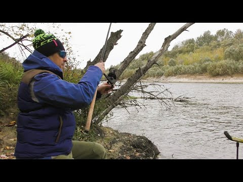 Що Клює на Фідер в Жовтні. Фідер на Десні
