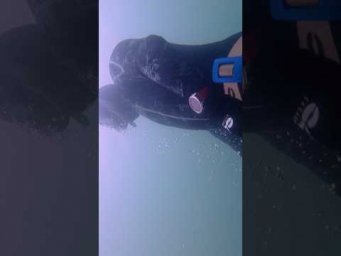 Нужен ли вам фридайвинг ?  #freediving