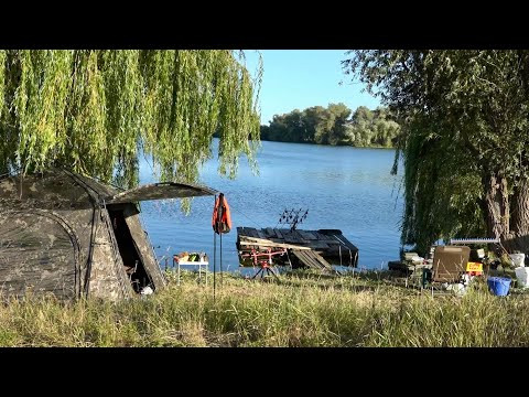Втомився бігать! Оце так накормили Клює на усі снасті зразу! Стратегія лову дикої риби від чемпіонів