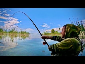 Вудки тріщать по швам від РИЖИХ ВЕЛЕТНІВ!!!