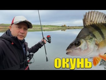 СПІННІНГ в руках! а ОКУНЬ. ТОП Рибалка на спінінг
