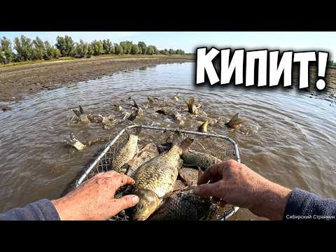 Вода кипит от рыбы. Нашел маленькую лужу , а там.................
