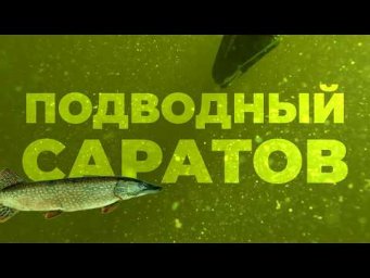 Здесь есть почти ЛЮБАЯ РЫБА! Теплые воспоминания с ПОДВОДНОЙ ОХОТЫ в Саратове