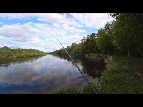 Замість Судака Клює Щука. Спінінг на Десні в Травні