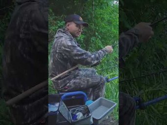 Какой ЦВЕТ шнура на ФИДЕР?  #рыбалка  #assistancetv #рыбалкаудалась  #fishing #фидер #рыбалканафидер