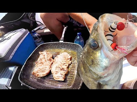 !!! КАЙФОВА РИБАЛКА !!! Сазан, Судак, Мясо, Пошук з ехолотом Лоуренс Еліт ФС9 !!! КАЙФОВА РИБАЛКА !!! Сазан, Судак, Мясо, Пошук з ехолотом Лоуренс Еліт ФС9