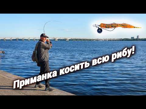 Ловлю на МікроДжиг в Дніпрі