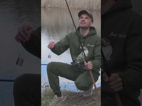 Стоп - это важно!   #рыбалка #assistancetv #рыбалканафидер  #fishing#carpfishing #фидер #carp #лещ