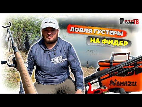 Ловля густеры на фидер,а плотву на поплавок.