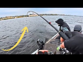 !!! ДЕ стоїть СУДАК !!! АПАРАТИ Клюють ОДИН за ОДНИМ, Рибалка на судака