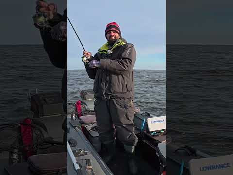 3д рак на судака #fishing #shorts #fish