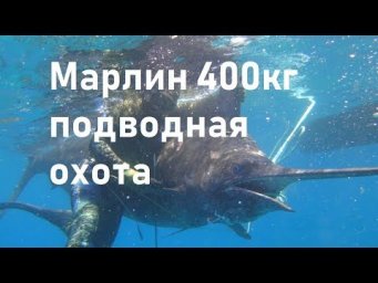Самый большой Марлин в мире 400кг.  Подводная охота на марлина. Владимир Середа