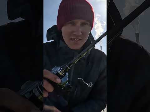 СУДАК ВЫЛЕТЕЛ ИЗ ЗАТОПЛЕННОГО КОРАБЛЯ! Рыбалка 2026 на воблер! #fishing #рыбалка СУДАК ВЫЛЕТЕЛ ИЗ ЗАТОПЛЕННОГО КОРАБЛЯ! Рыбалка 2026 на воблер! #fishing #рыбалка