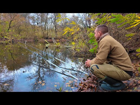 Осінній ПОПЛАВОК! Трудовий але КАЙФОВИЙ!!! Осінній ПОПЛАВОК! Трудовий але КАЙФОВИЙ!!!