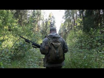 Охота на рябчика с подхода | Ранняя осень | Охотпрактикум