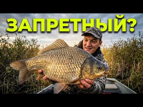НЕ ОЖИДАЛ ТАКОГО РЕЗУЛЬТАТА! НА ЗАПРЕТНЫЙ ПОПЛАВОК-КИВОК! Ловля карася и леща на удочку