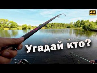 КАРАСЬ и КАРП на ПОПЛАВОЧНУЮ УДОЧКУ