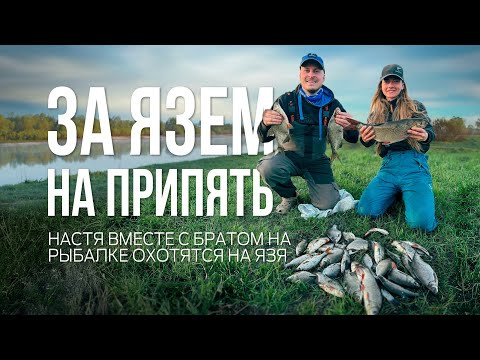 Ловля язя на горох. Фидерная рыбалка на Припяти