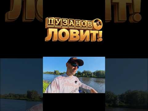 Рыбалка на фидер в канале им Москвы. #fishing #рыбалканафидер #пузановловит #диалогиорыбалке