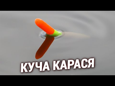 ТЯГАЮ КАРАСЯ ОДИН ЗА ОДНИМ, АЖ НАДОЇЛО. РИБАЛКА НА ПОПЛАВОК