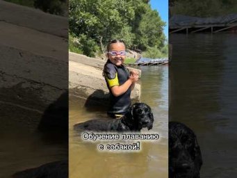 Обучение плаванию с собакой! На реке, озере, пруду в Вашем бассейне.