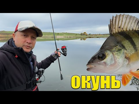 СПІННІНГ в руках! а ОКУНЬ. ТОП Рибалка на спінінг