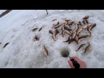 Огромные окуни и щуки на гигантские приманки. Гора рыбы с одной лунки. Fishing