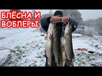 НА ЧТО ЛОВИТЬ ЩУКУ. ПРИМАНКИ НА ЩУКУ. БЛЕСНА И ВОБЛЕРЫ