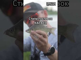 А вам какая поклевка нравится больше всего