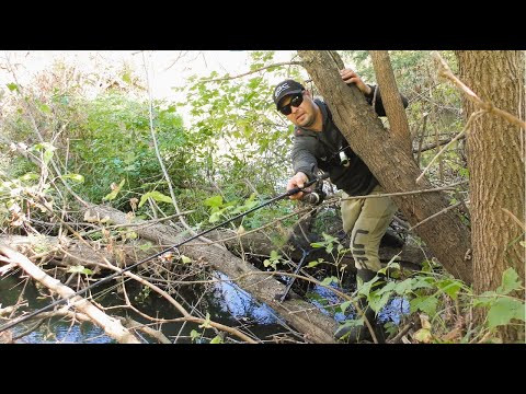 Цікава Риболовля на Спінінг Цікава Риболовля на Спінінг