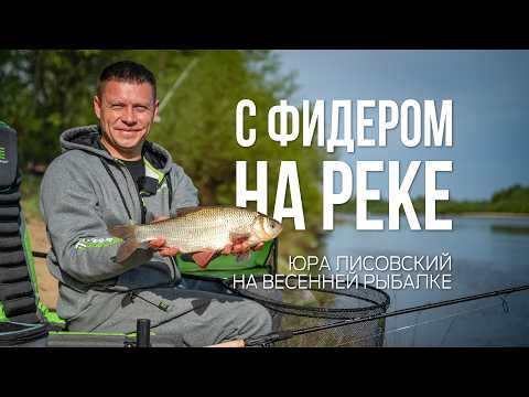 Как поймать карася на течении? Рыбалка с фидером на реке весной