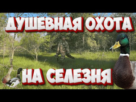 ДУШЕВНАЯ ОХОТА НА СЕЛЕЗНЯ!