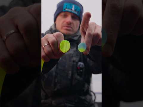 Кардинальные различия Frapp Snatcher и Easy Shiner НАГЛЯДНО 