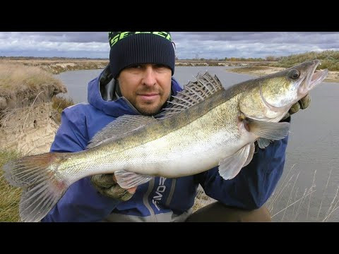 Джиг на Десні. Судак на Спінінг Джиг на Десні. Судак на Спінінг