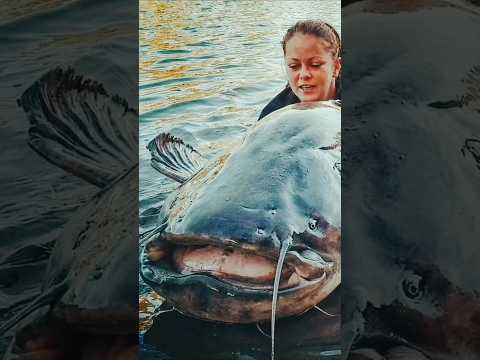 Формула успеха рыбалки на сома Формула успеха рыбалки на сома