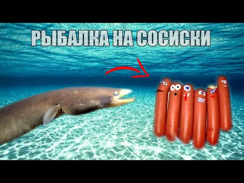 Как Клюет Угорь? Поклевка Угря на Сосиску. Реакция рыбы. Подводная съемка на рыбалке.