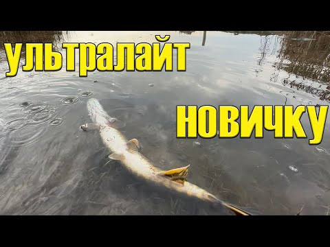 ТОЧА ДЕ ЩУКА. Урок мікроджигу: як ловити. РИБАЛКА НА ЩУКУ і ОКУНЯ