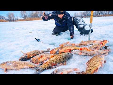 !!! Це СОН !!! Заглянув в ЛУНКУ а там САЗАНАМИ ВСТЕЛЕНЕ ДНО, Як Ловити САЗАНА Зимою? !!! Це СОН !!! Заглянув в ЛУНКУ а там САЗАНАМИ ВСТЕЛЕНЕ ДНО, Як Ловити САЗАНА Зимою?