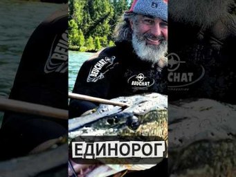 Вот это попадание 