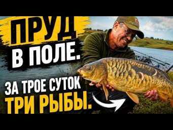 Пруд в поле. За трое суток три рыбы.