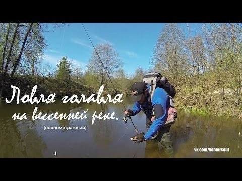Ловля голавля весной на малой реке. Видео отчет от 8.05.2016 г.