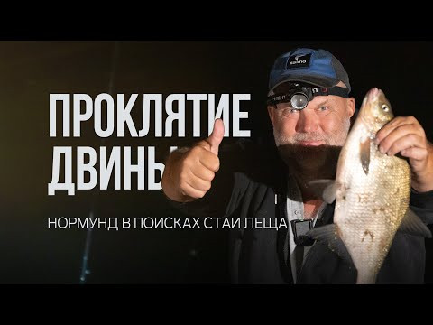 Ночная охота за лещом на Двине — осенняя рыбалка с Нормундом Грабовскисом! Лещ на сало! Ночная охота за лещом на Двине — осенняя рыбалка с Нормундом Грабовскисом! Лещ на сало!